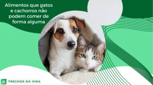 Alimentos que gatos e cachorros não podem comer de forma alguma