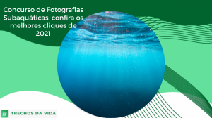 Concurso de Fotografias Submarinas: confira os melhores cliques de 2021