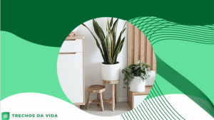 Onde encontrar objetos de decoração baratos?