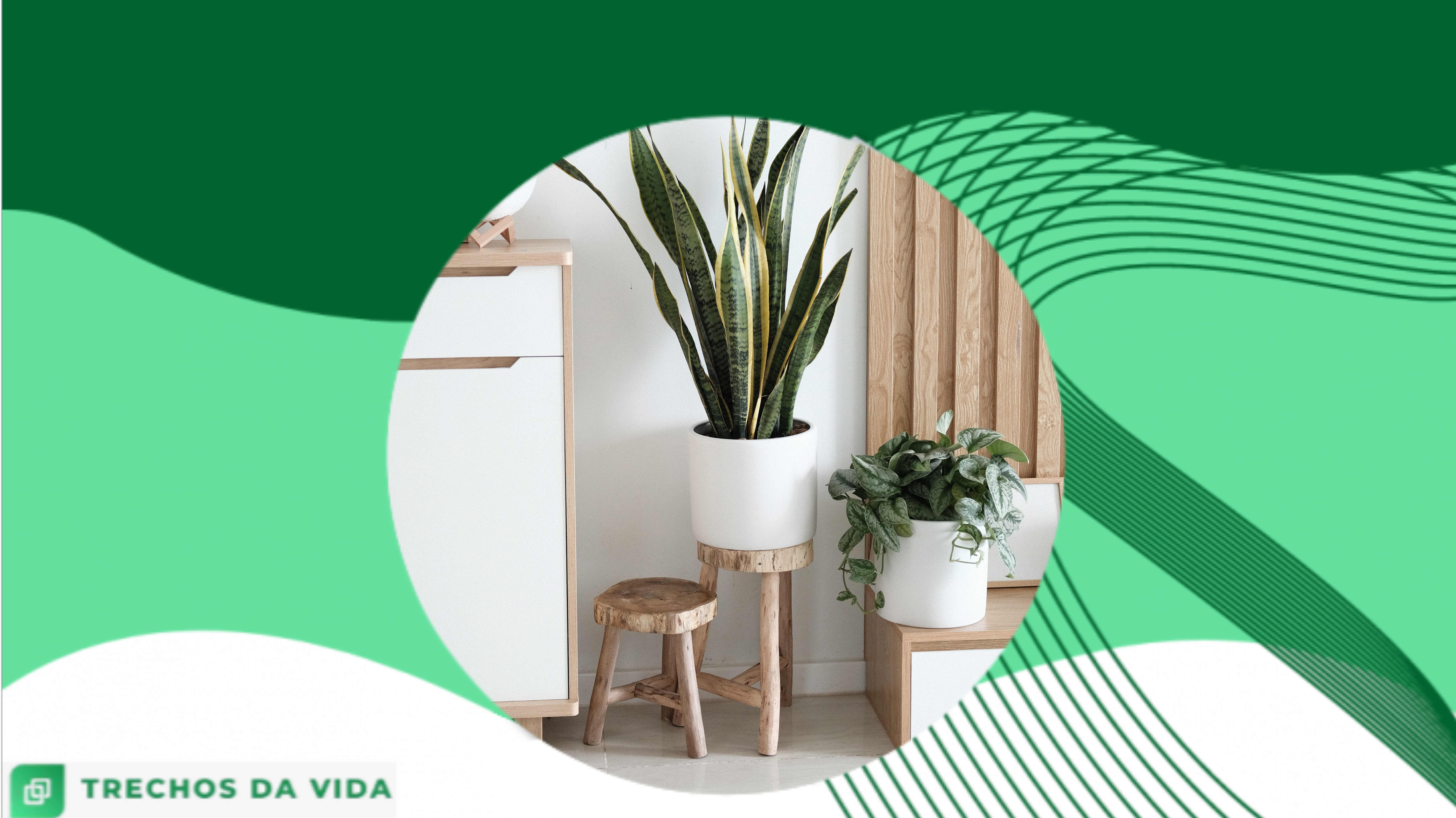 Onde encontrar objetos de decoração baratos?