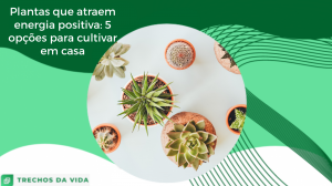 Plantas que atraem energia positiva: 5 opções para cultivar em casa