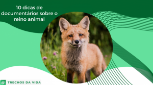 10 dicas de documentários sobre o reino animal