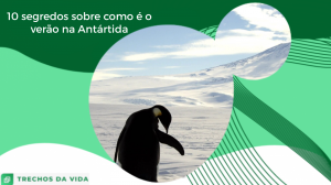 10 segredos sobre como é o verão na Antártida