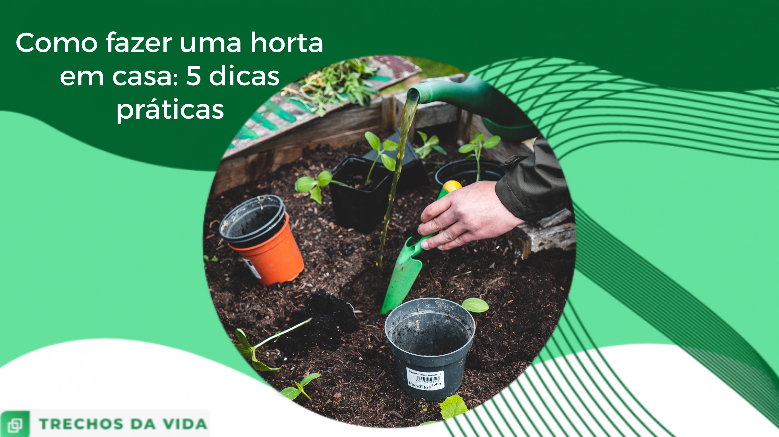 Como fazer uma horta em casa? 5 dicas práticas