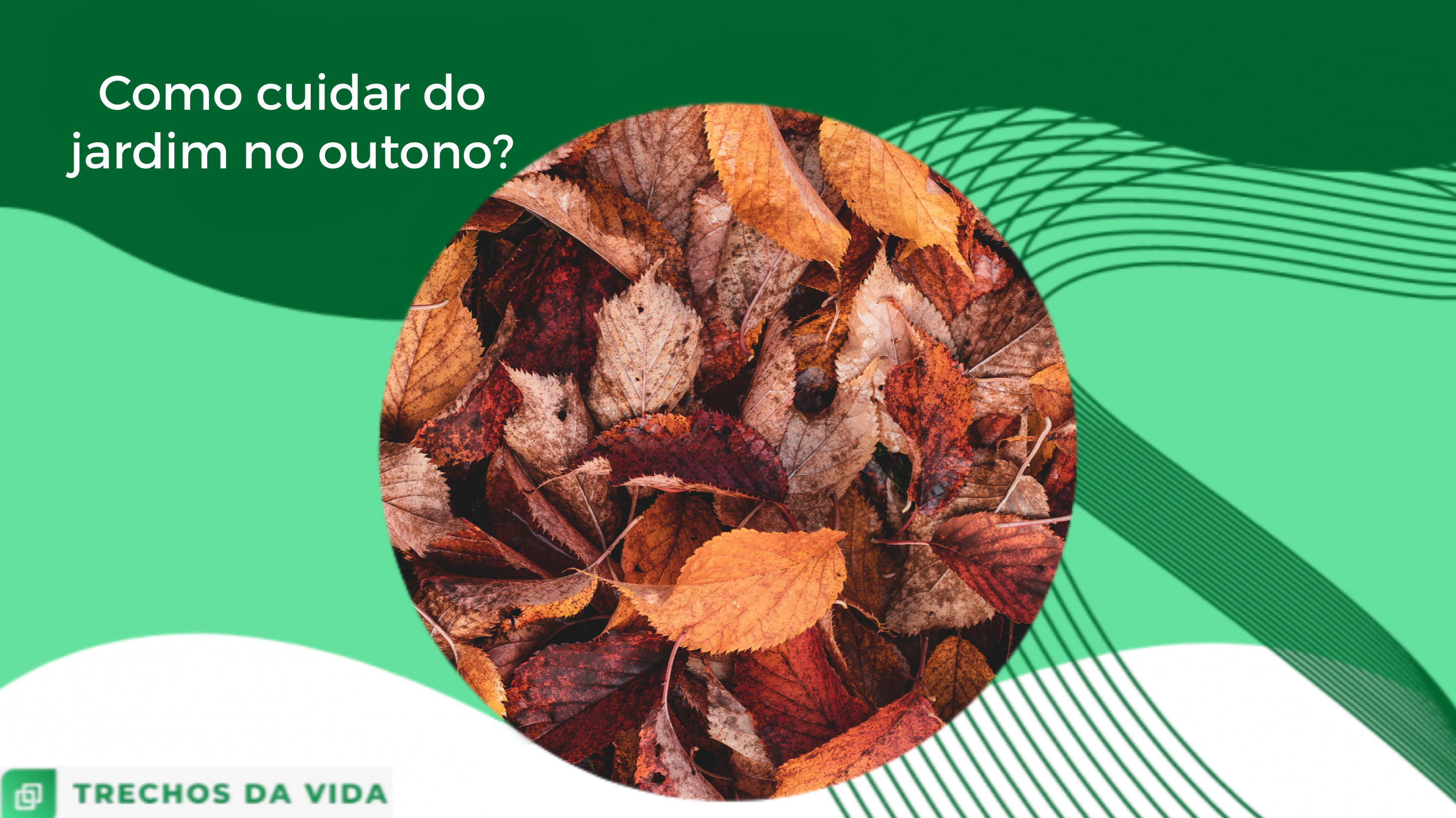 Como cuidar do jardim no outono?