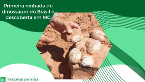 Primeira ninhada de dinossauro do Brasil é descoberta em MG