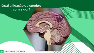 Qual a ligação do cérebro com a dor?
