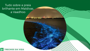 Tudo sobre a praia brilhante em Maldivas, a Vaadhoo