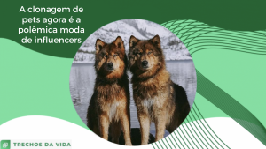 A clonagem de pets agora é a polêmica moda de influencers