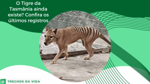 O Tigre da Tasmânia ainda existe? Confira os últimos registros