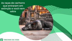 As raças de cachorro que entraram em extinção e você nem sabia