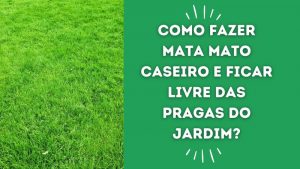 Como fazer mata mato caseiro e ficar livre das pragas do jardim?
