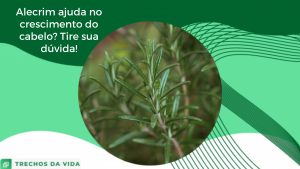 Alecrim ajuda no crescimento do cabelo? Tire a sua dúvida!