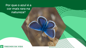 Por que o azul é a cor mais rara na natureza?