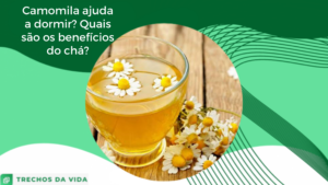 Camomila ajuda a dormir? Quais são os benefícios do chá?