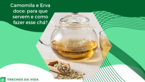 Camomila e Erva doce: para que servem e como fazer esses chás?