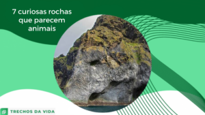 7 curiosas rochas que parecem animais
