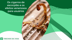 Os cigarros de escorpião e os efeitos venenosos para usuários