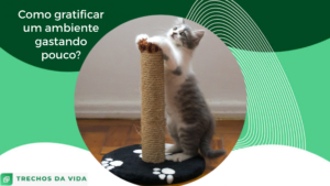Como gatificar um ambiente gastando pouco?