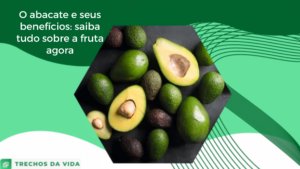O abacate e seus benefícios: saiba tudo sobre a fruta agora