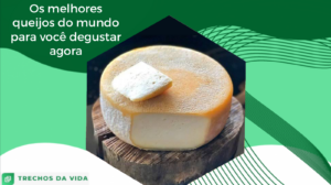 Os melhores queijos do mundo para você degustar agora