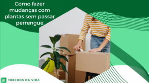 Como fazer mudanças com plantas sem passar perrengue