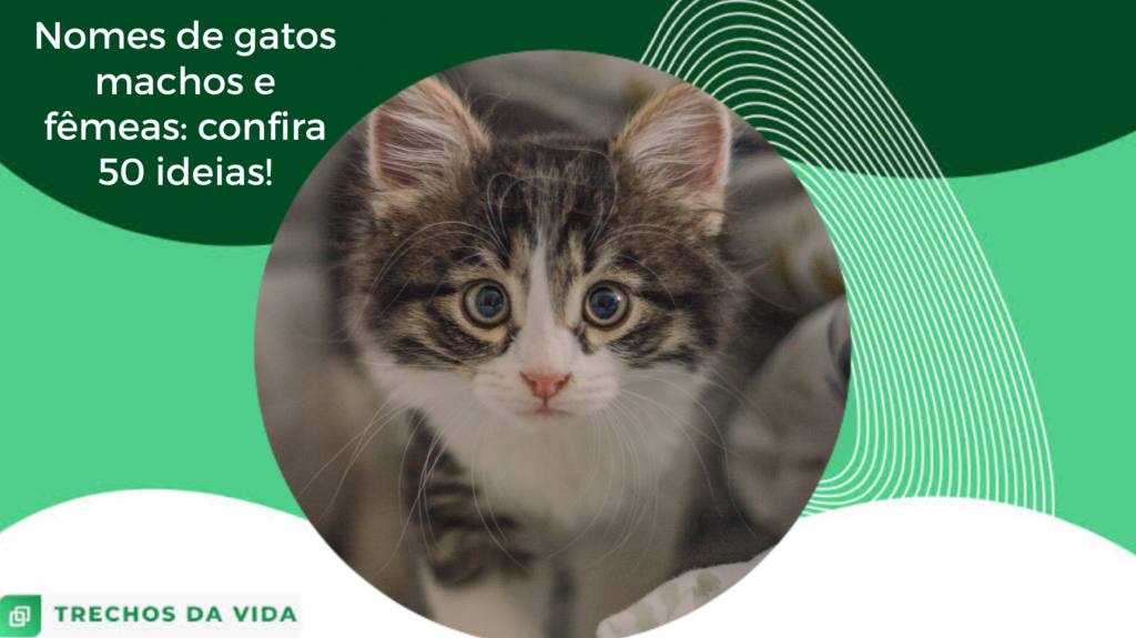 Coleira Para Gatos Com Laço Borboleta E Sino - Confortável E Ajustável, Tema Abelha E Margarida