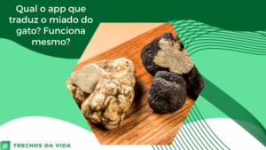 A trufa negra e as principais curiosidades que você não sabia