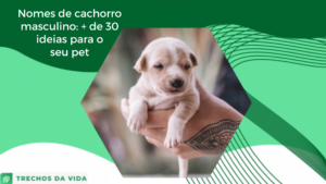 Nomes de cachorro masculino: + de 30 ideias para o seu pet