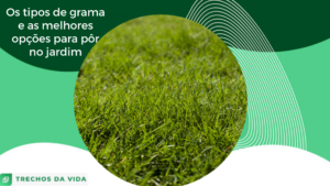 Os tipos de grama e as melhores opções para pôr no quintal