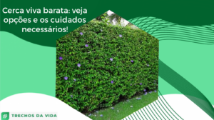 Cerca viva barata: veja opções e os cuidados necessários!