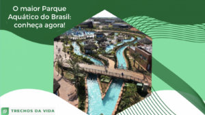 O maior Parque Aquático do Brasil: conheça agora!