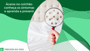 Ácaros no colchão: conheça os sintomas e aprenda a prevenir