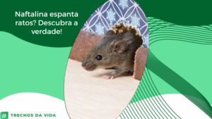 Naftalina espanta ratos? Descubra a verdade!