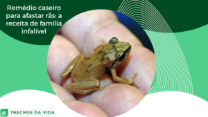 Remédio caseiro para afastar rãs: a receita de família infalível