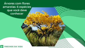 Árvores com flores amarelas: 6 espécies que você deve conhecer