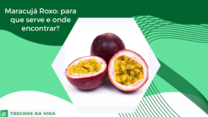 Maracujá Roxo: para que serve e onde encontrar?