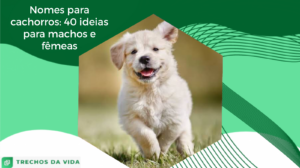 Nomes para cachorros: 40 ideias para machos e fêmeas