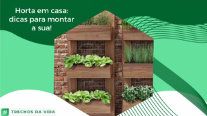 Horta em casa: dicas para montar a sua!