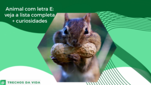 Animal com letra E: veja a lista completa + curiosidades