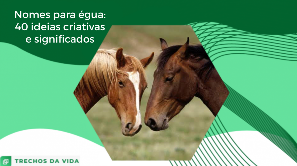 Nomes para égua: 40 ideias criativas e significados - Trechos da Vida