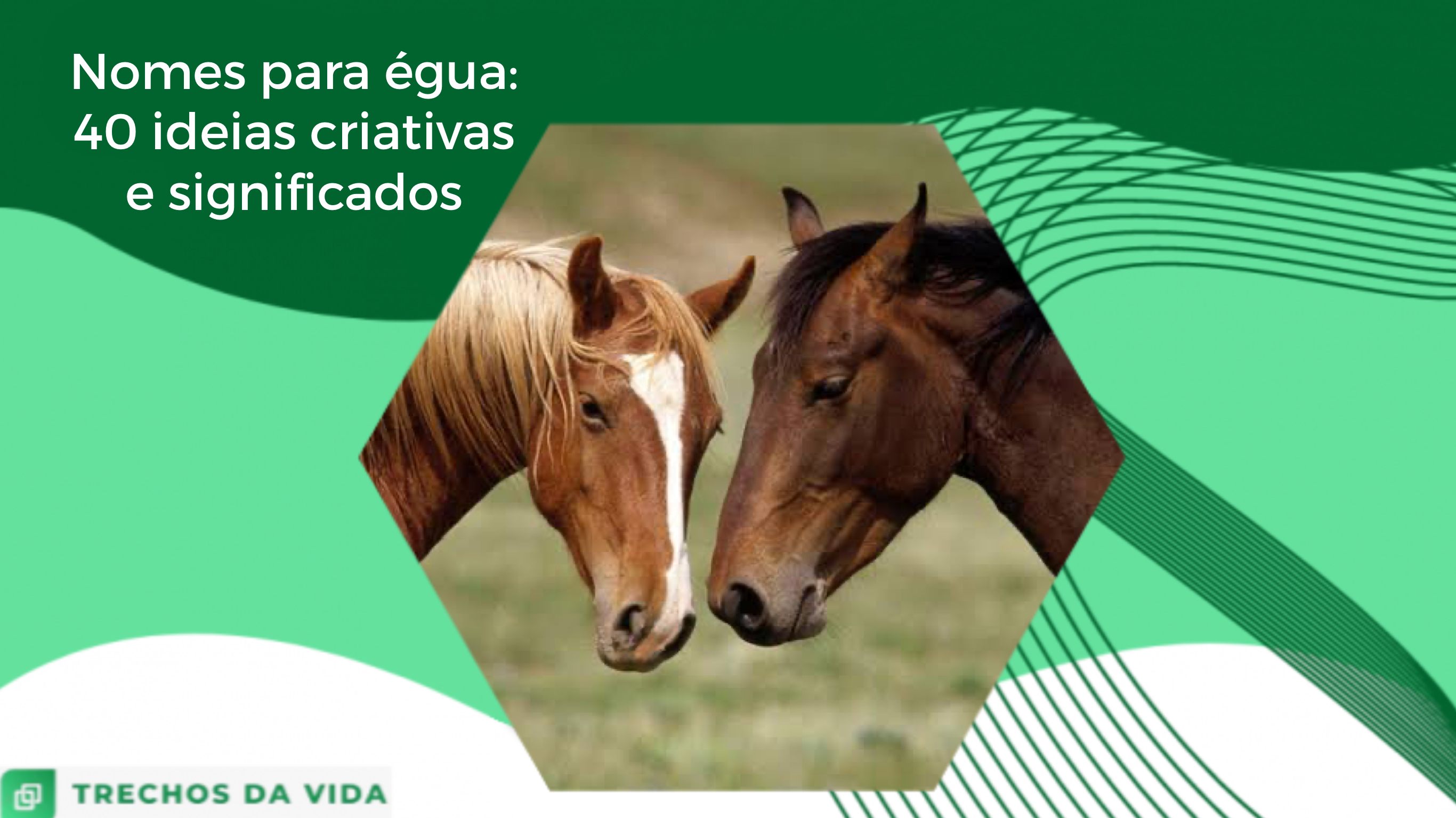 Nomes para égua: 40 ideias criativas e significados