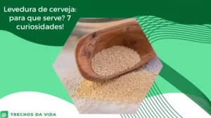 Levedura de cerveja: para que serve? 7 curiosidades!