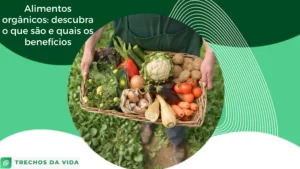 Alimentos orgânicos: descubra o que são e quais os benefícios