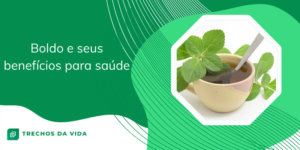 Boldo e seus benefícios para saúde