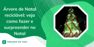 Árvore de Natal reciclável: veja como fazer e surpreender no Natal