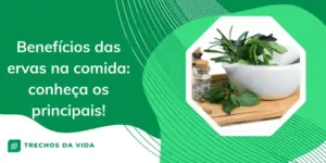 Benefícios das ervas na comida – Conheça os principais