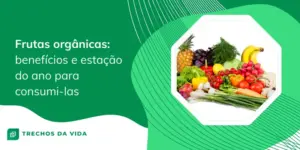 Frutas orgânicas: benefícios e estação do ano para consumi-las