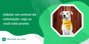Adotar um animal de estimação: veja se você está pronto