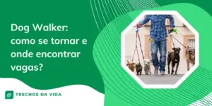 Dog Walker: como se tornar e onde encontrar vagas? 